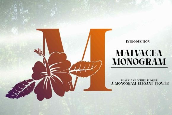Malvacea Font: A Craft-First Display Typeface for Distinctive Branding