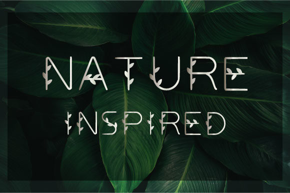 Nature Inspired Font for Delicate Branding Projects